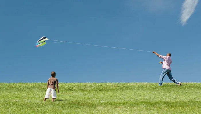 风筝也叫纸鸢其中鸢是指 风筝也叫纸鸢其中鸢是指什么意思