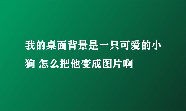 我的桌面背景是一只可爱的小狗 怎么把他变成图片啊