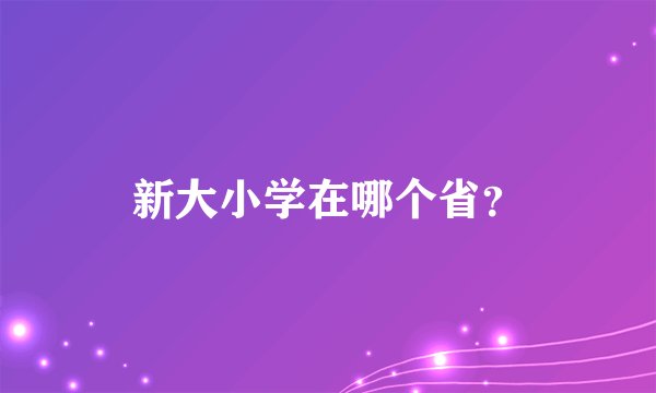 新大小学在哪个省？