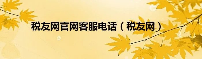 税友网官网客服电话（税友网）