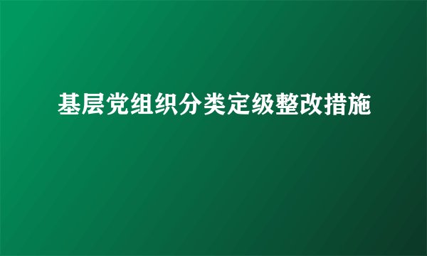 基层党组织分类定级整改措施