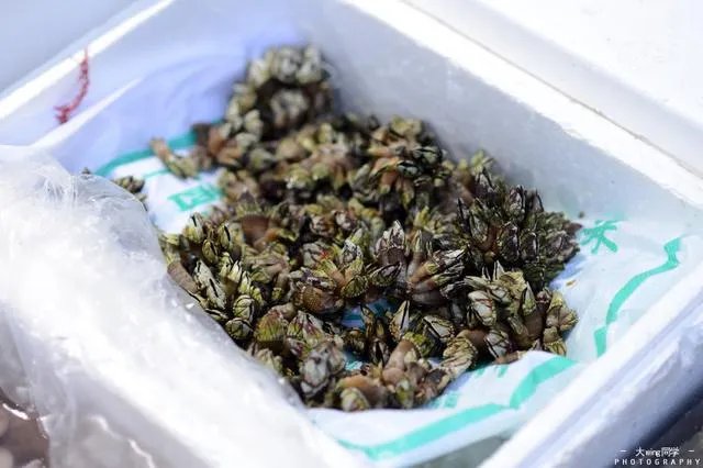 珠海东澳岛好玩吗？景色怎么样？