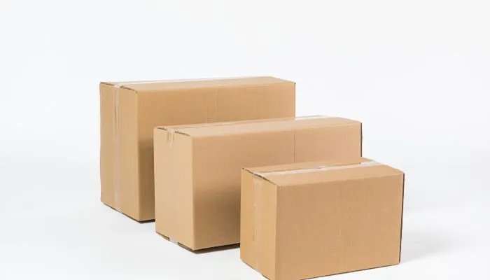 快递几号开始停运2022 2022年快递停运时间安排