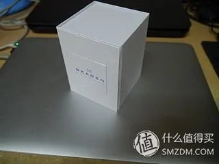 北欧风情 SKAGEN 诗格恩 女式腕表 355SSS1