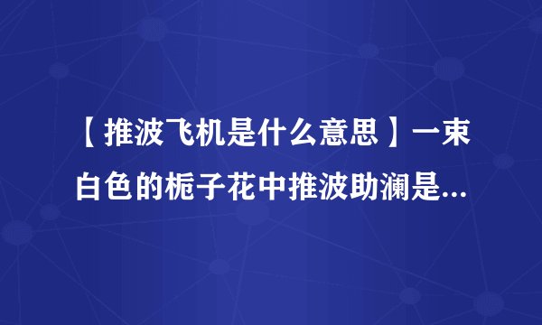 【推波飞机是什么意思】一束白色的栀子花中推波助澜是什么意思
