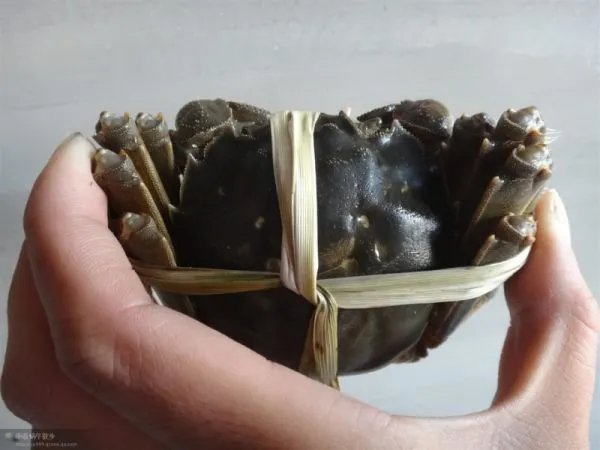 落红有主（打辽宁地名）