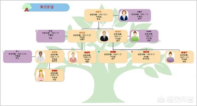 四年级家谱图怎么画？