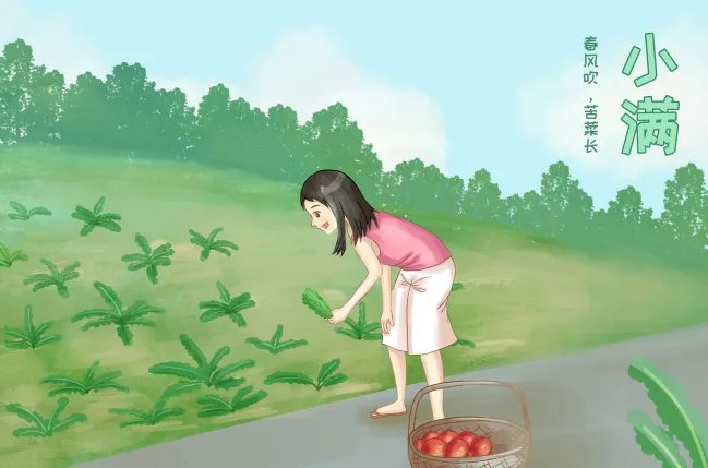 小满吃什么传统食物 小满的时候吃什么食物