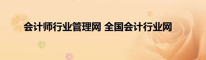 会计师行业管理网 全国会计行业网