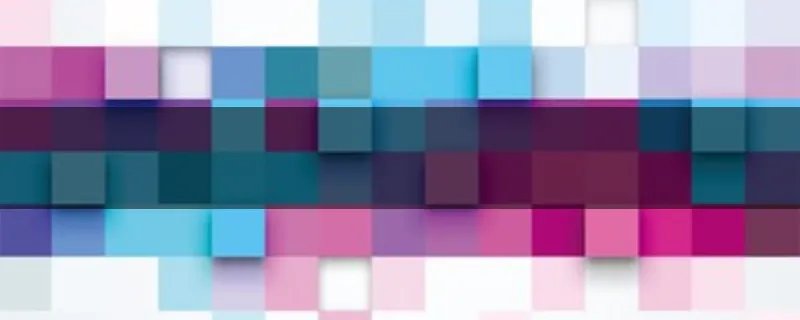 我是特种兵之火凤凰主要演员表？