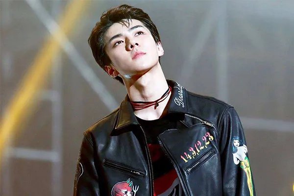 exo九人全球人气排名 吴世勋第三，小绵羊张艺兴登顶