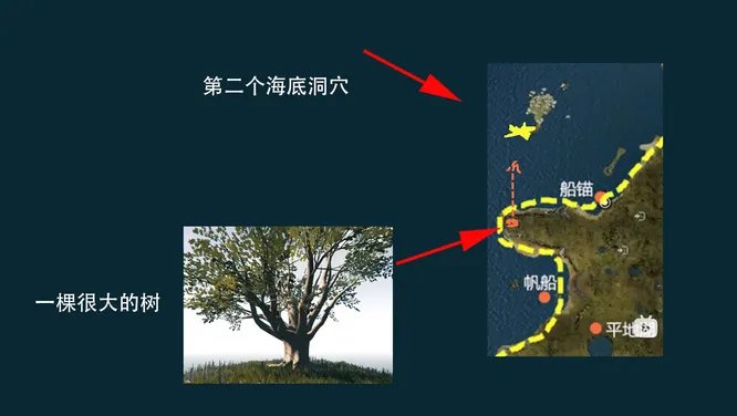 森林水下洞穴在哪?