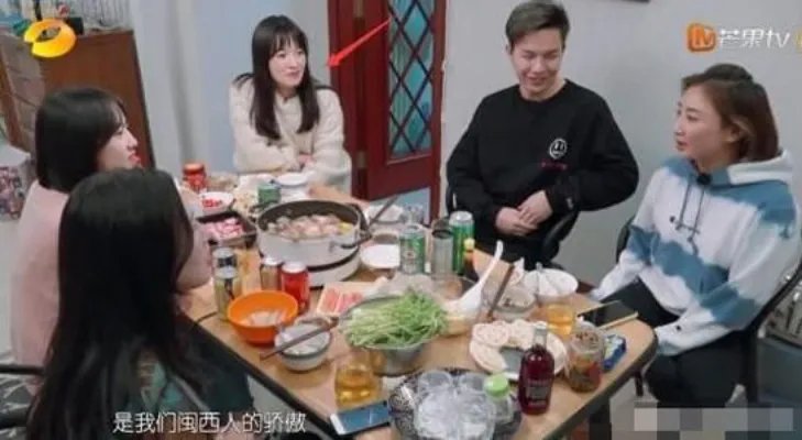 何雯娜宣布产女:何雯娜个人资料简介