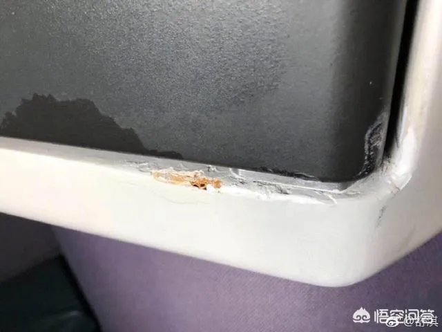 舒淇发文怒斥乘机旅客碰撞电视损坏公物，乘客应该为其不文明行为负责么？