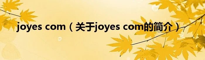 joyes com（关于joyes com的简介）