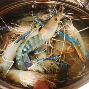 食材_大头虾窍门