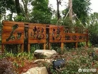 你喜欢郴州吗？