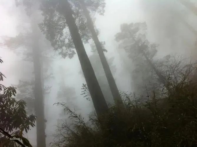 中国十大旅游禁区：谜团至今无法解释！没事千万别去！ 