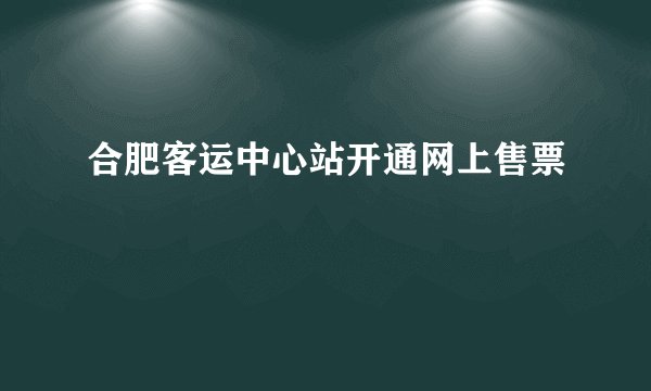 合肥客运中心站开通网上售票
