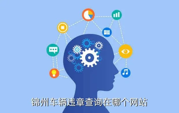 锦州机动车违章查询,锦州交通违章查询