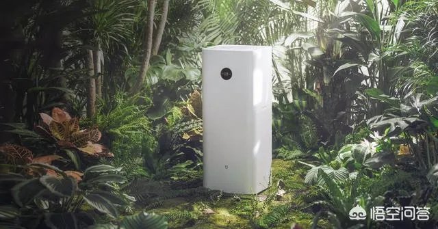 室内除甲醛公司对除甲醛有帮助吗？