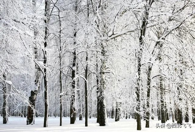 冬天旅游都需要带什么？