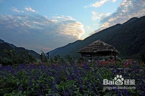 重庆到大木花谷一日游
