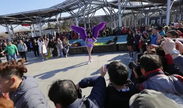 北京光猪跑是怎么回事?