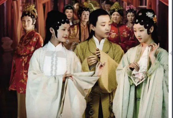 杨洋版的红楼梦为什么搜不到