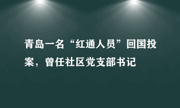 青岛一名“红通人员”回国投案，曾任社区党支部书记