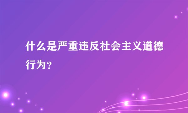 什么是严重违反社会主义道德行为？