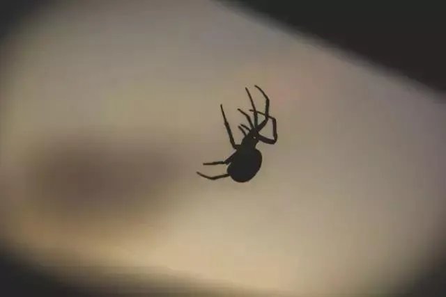 大学生李文星赴天津求职蹊跷死亡，应怎样避免这种情况发生？