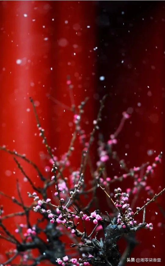 冬天旅游都需要带什么？