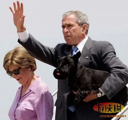 老汉公园遛老虎惊呆路人 揭秘世界牛人和他们的奇葩宠物