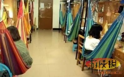 学生宿舍养鳄鱼当宠物 盘点让人眼界大开的宿舍