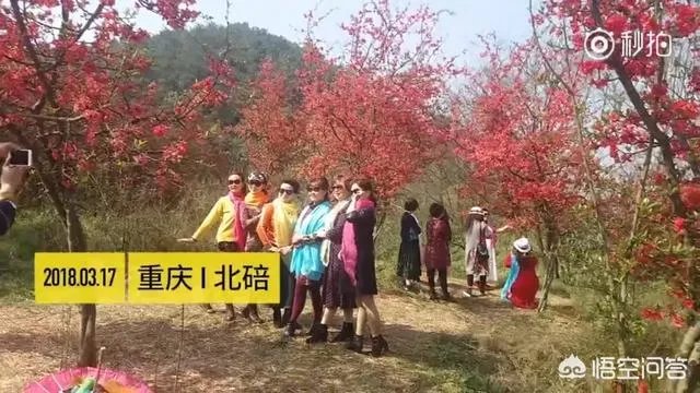 阿姨们照相带7条丝巾挪10次地方，丝巾墨镜成妈妈拍照必备，你的妈妈爱拍丝巾照吗？