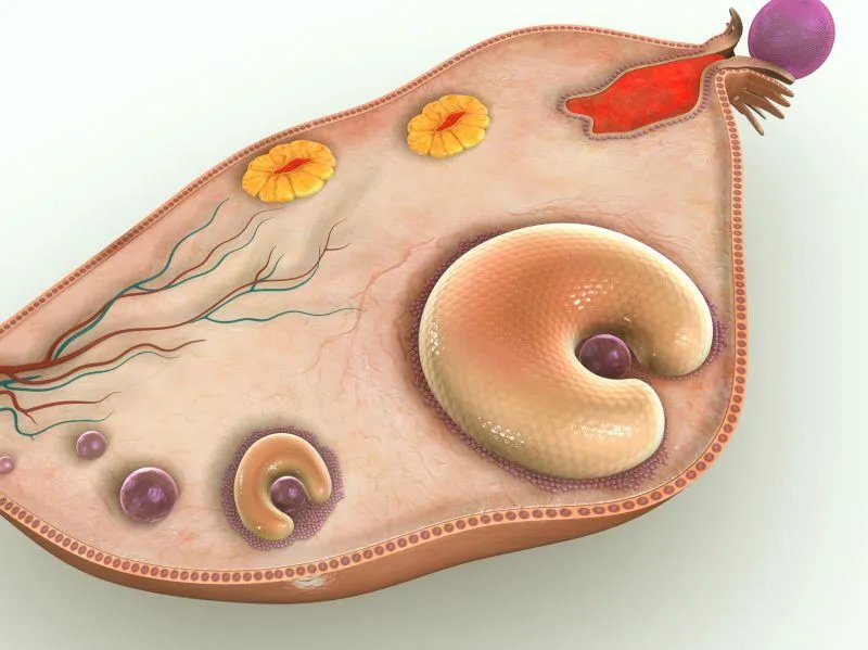 癌症试纸真的有用吗