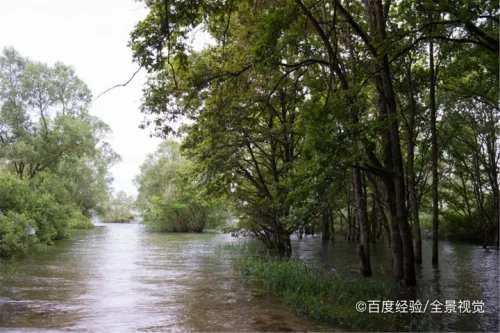 北京首个洪水预警，该怎么办