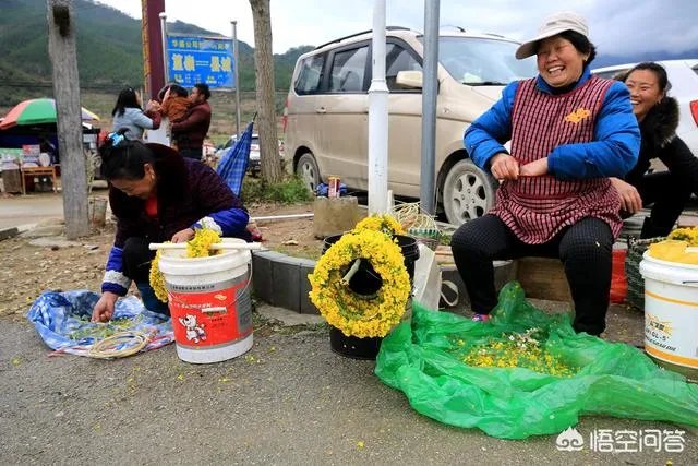 你对江西婺源景区强收卫生费怎么看？