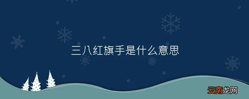 三八红旗手是什么意思