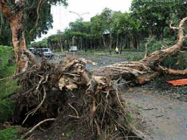 风王“利奇马”或因太强被除名,过去还有哪些台风被除名了?