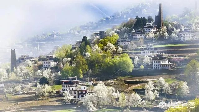 甘孜州丹巴县的特产是什么```？