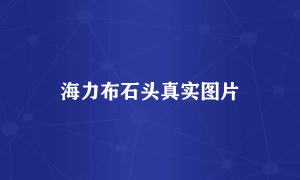 海力布石头真实图片