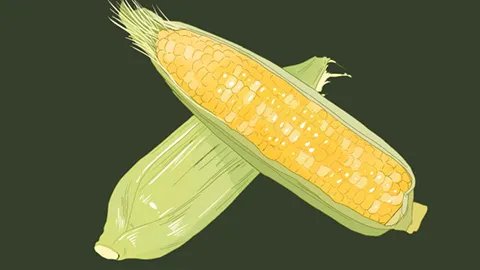 玉米须如何降血糖