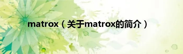 matrox（关于matrox的简介）