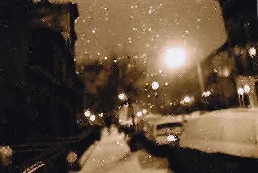 何以笙箫默婚后番外 赵默笙何以琛婚后生活番外阅读