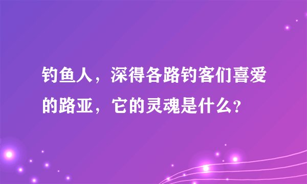 钓鱼人，深得各路钓客们喜爱的路亚，它的灵魂是什么？