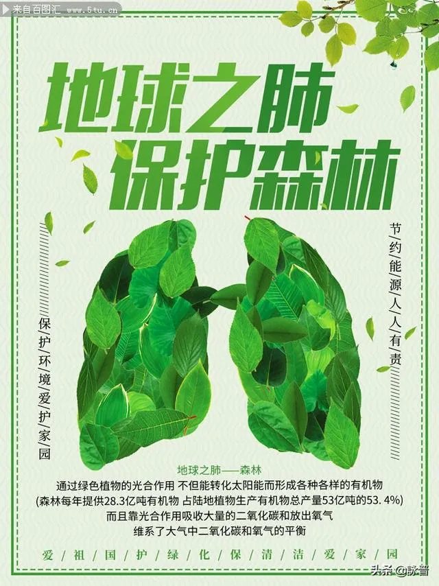 为什么亚马逊雨林会燃烧?这为何是一个大问题?