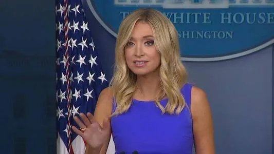 特朗普为什么建议推迟美国总统选举？