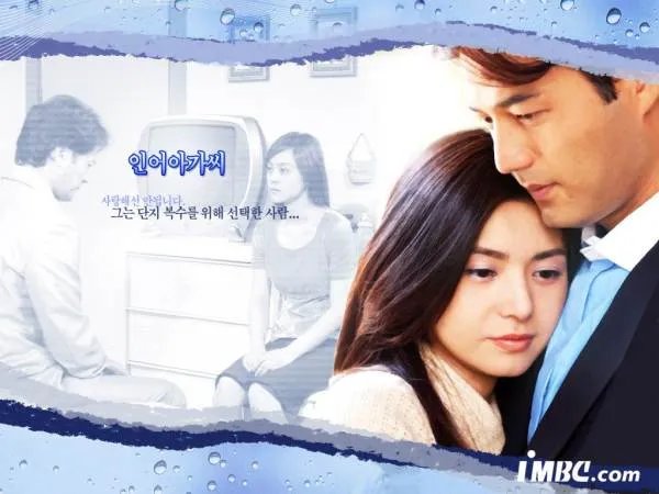 人鱼小姐一共多少集